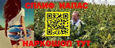 PSILOCYBIN Будённовск