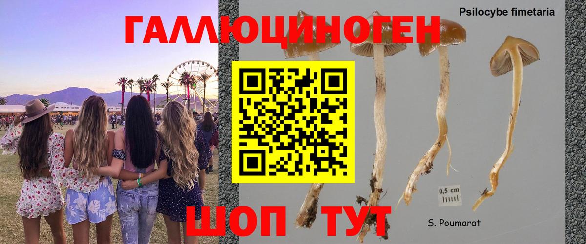 Псилоцибиновые грибы MAGIC MUSHROOMS Котовск