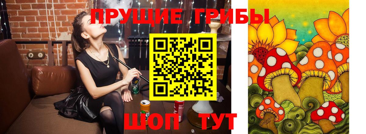 Котовск  Галлюциногенные грибы прущие грибы  Вход с VPN  Галлюциногенные грибы мухоморы 